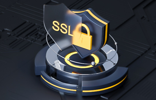 公司网站必须要有SSL证书吗？多少钱